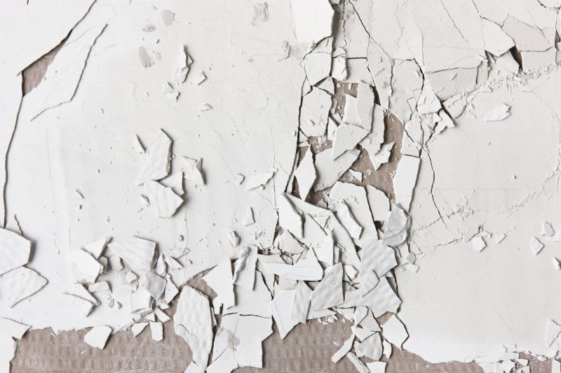 House Stucco Repair in Marin County, CA