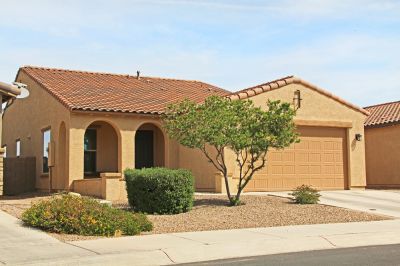 Stucco Siding is Resistant To Pests Like Termites and Other Insects!